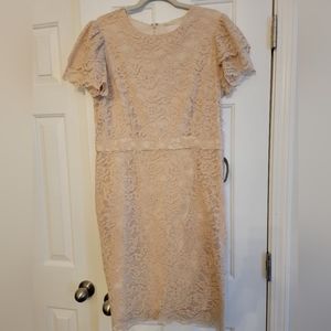 New! Lace midi dress
